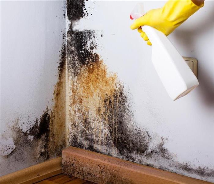 Image of a person cleaning up mold on white wall.