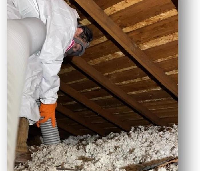 Man in attic in protective suit vacuuming insulation