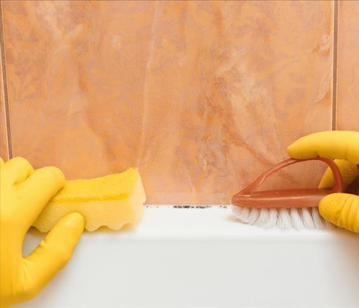 Image of a person cleaning mold 