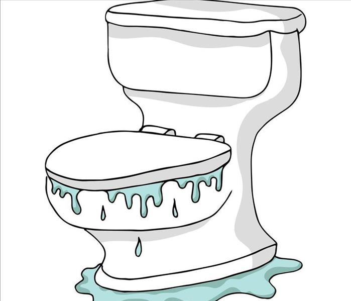 Image of a toilet overflow 