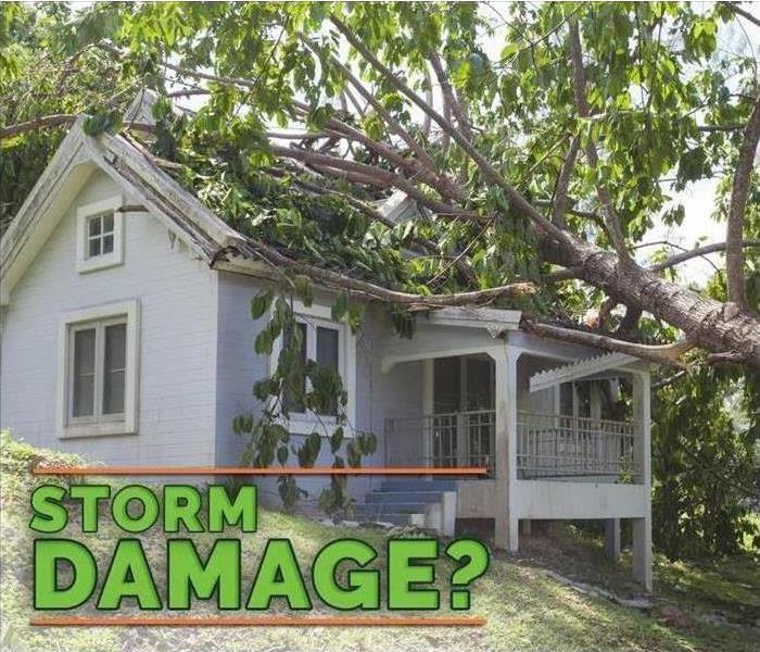Image of tree on top of roof of a home, with green letters asking "Storm damage?"